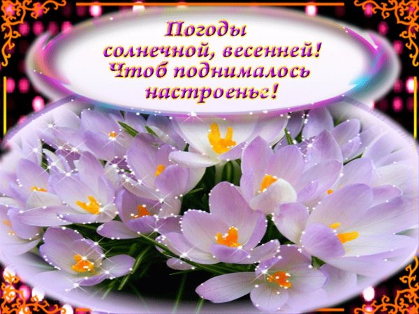 Открытки с добрым утром весенние
