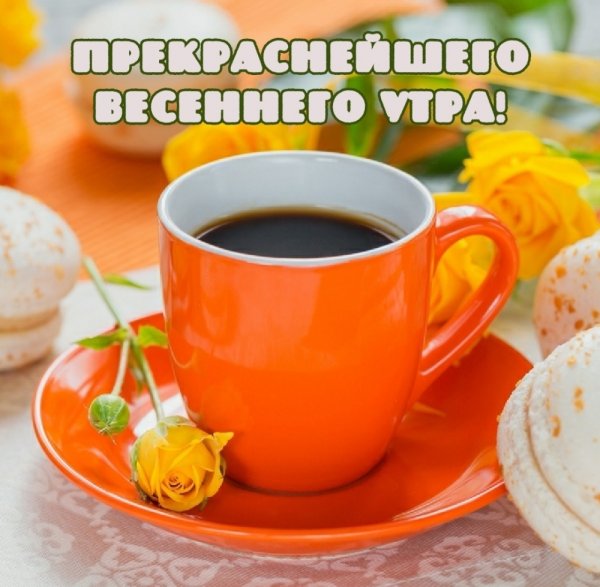 Кружка с цветами и пожеланиями доброго дня