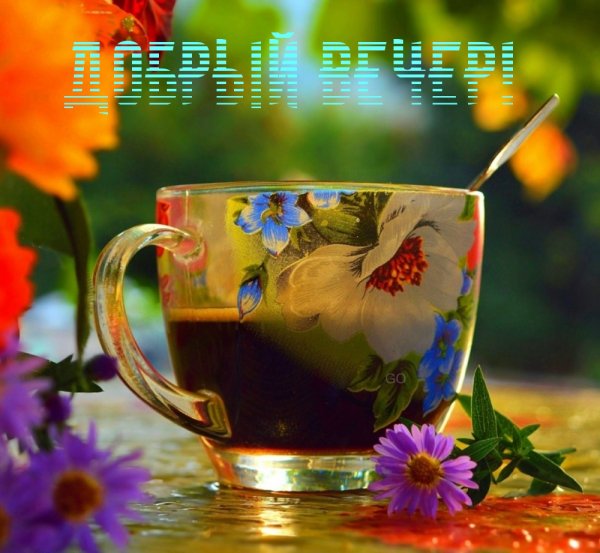 Чашечка кофе с незабудками