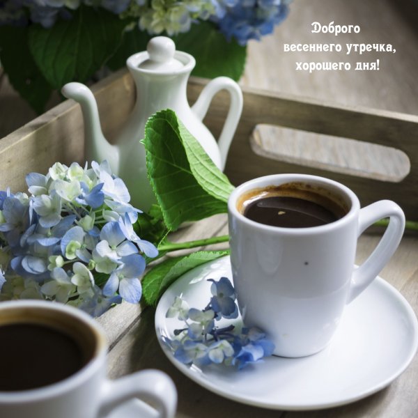 Чашка кофе в весеннем саду