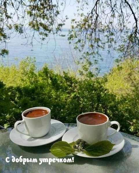 Приглашение на чашечку чая