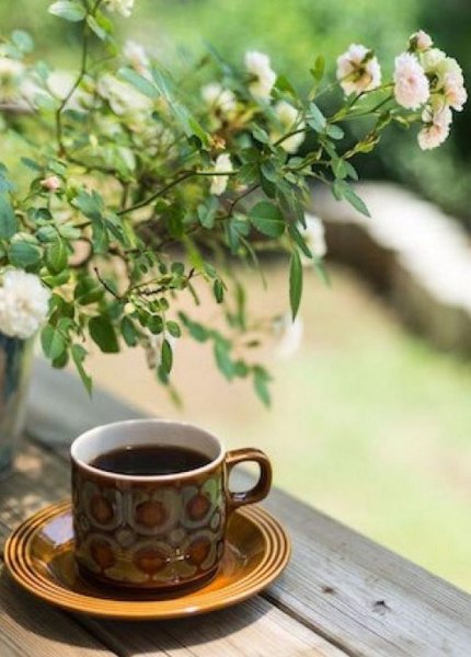 Весеннее чаепитие