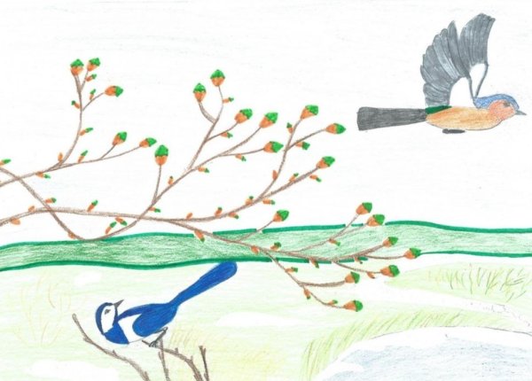 Весенние рисунки для срисовки карандашом