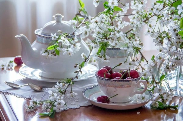 Цветы в чашке