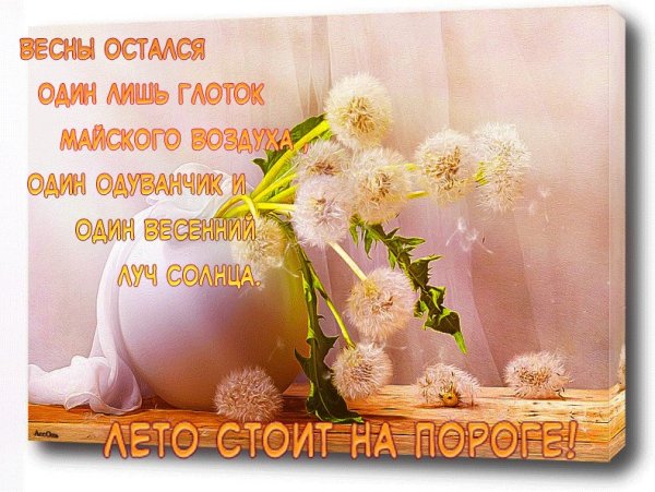 С последним весенним воскресеньем