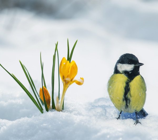 С последним днем марта