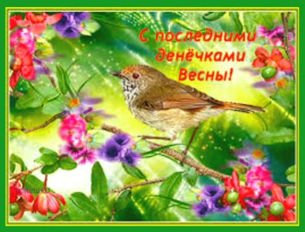 Прекрасной весенней недели