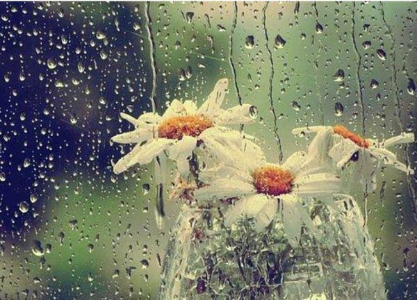 А У нас дождик