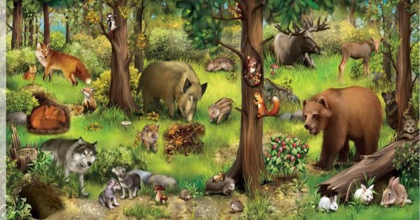 Картинки на тему Дикие животные