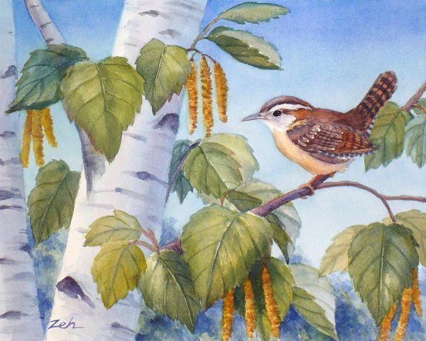 Птичка на Березе