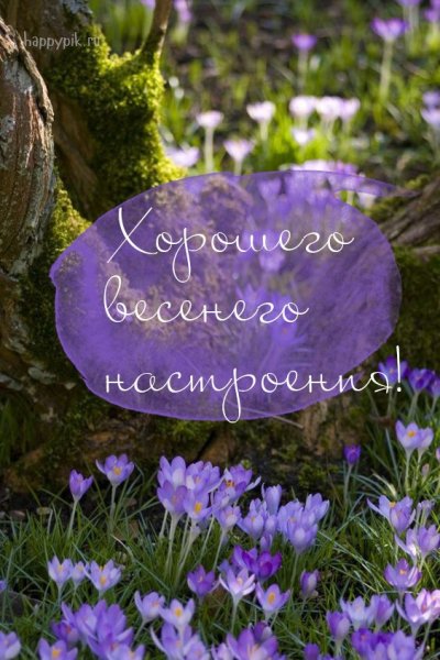 Доброе Весеннее утро с надписями