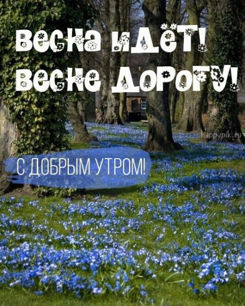 Доброе утро с птичками