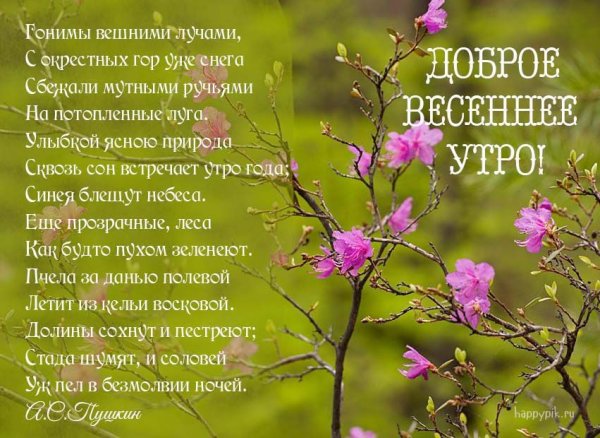 Весенний привет открытки