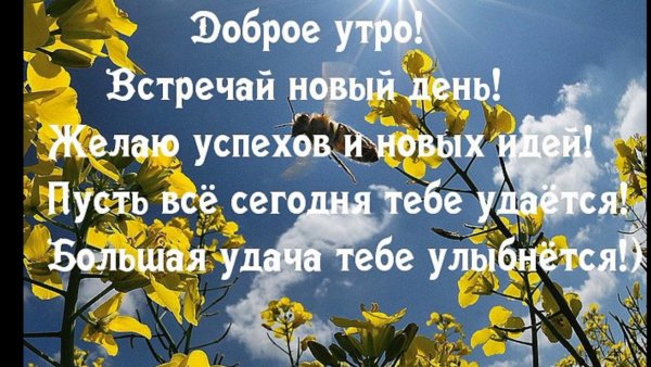 Доброе раннее утро