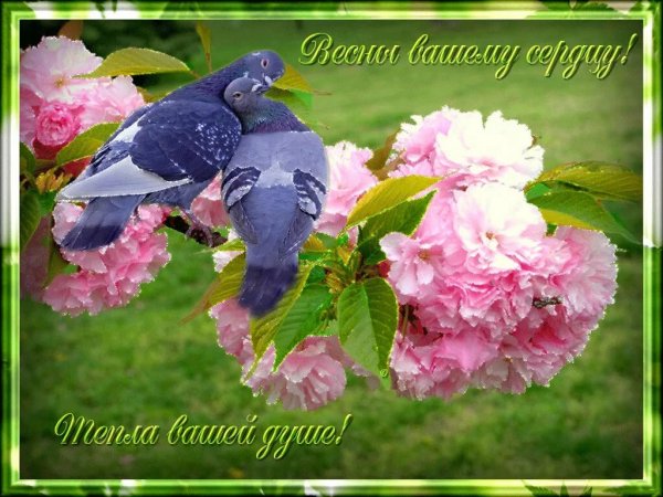 Весны вашему сердцу