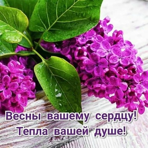 Весеннего настроения и душевного тепла