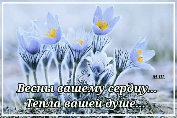 Весны любви добра и счастья