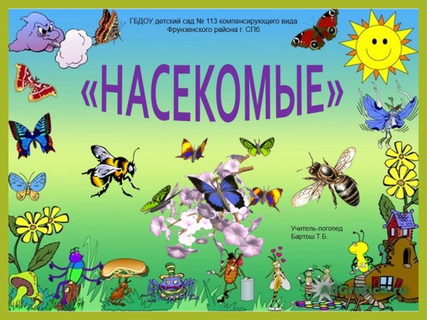 Насекомые занятие с детьми