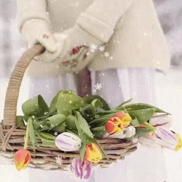 Цветы и добрые пожелания женщине