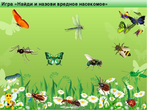 Пейзаж с насекомыми