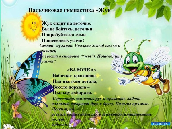 Насекомые рисунок