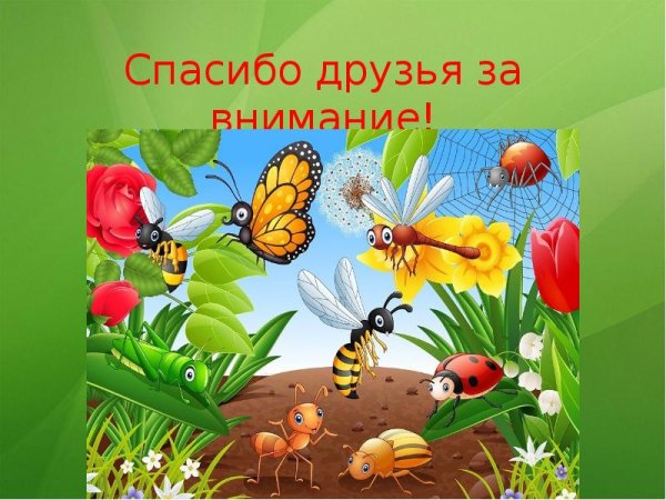 Насекомые для дошкольников
