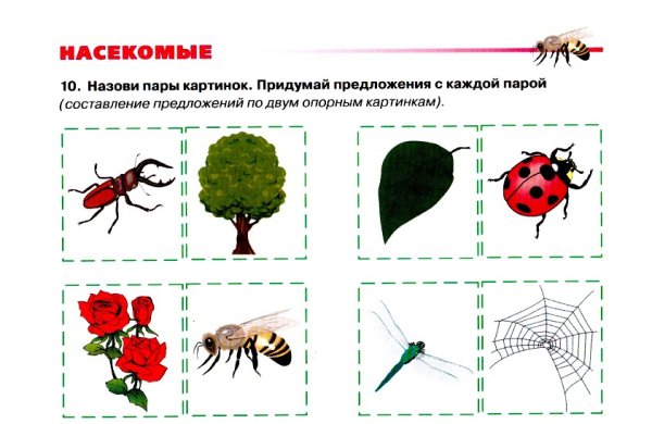 4 Лишний насекомые