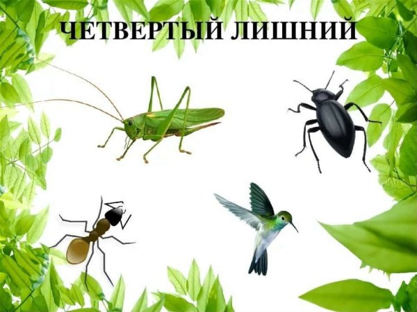 Насекомые дидактические игры для детей
