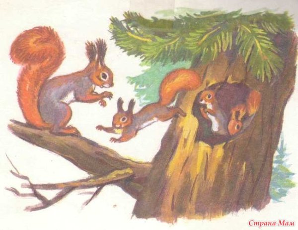 Белочка с мимозой