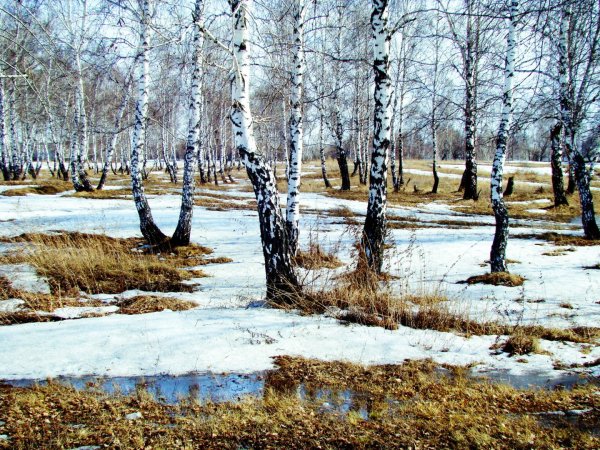 Весна света Весна воды пришвин