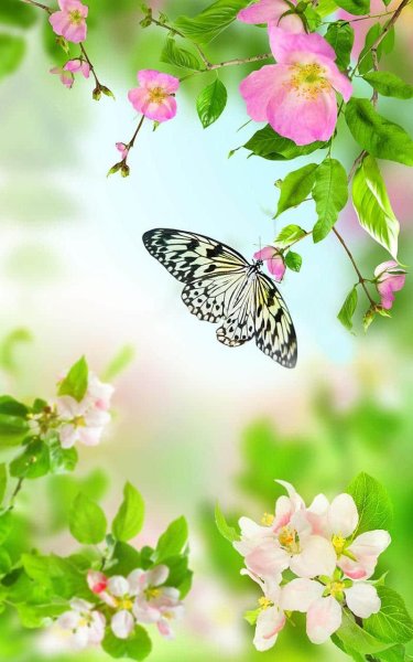 Весенние обои