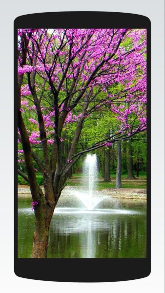 Сиреневые цветы вертикальные