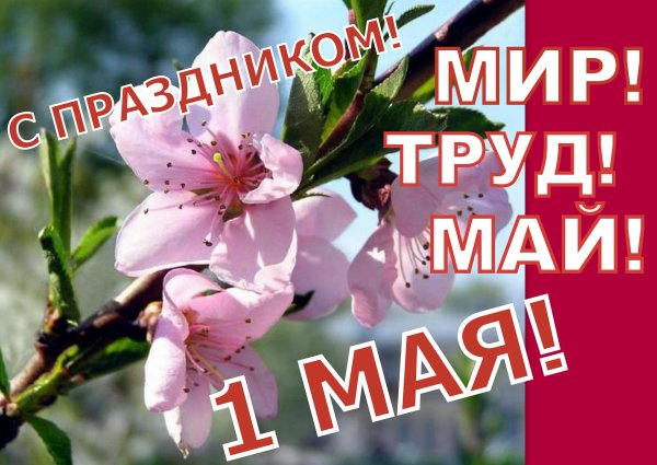 Праздник весны и труда анимация