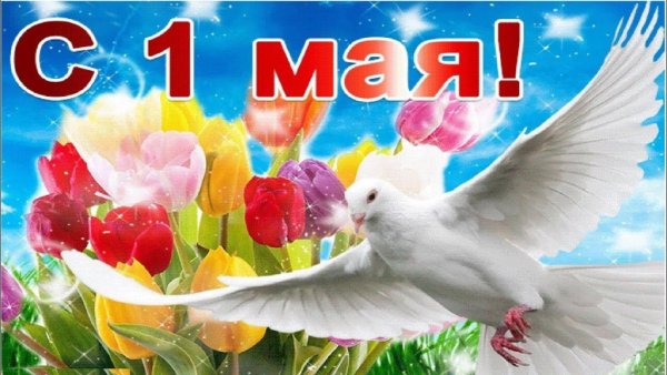 С первым весенним маем