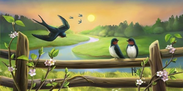 Природа птицы