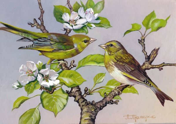 Птички для украшения группы в детском саду