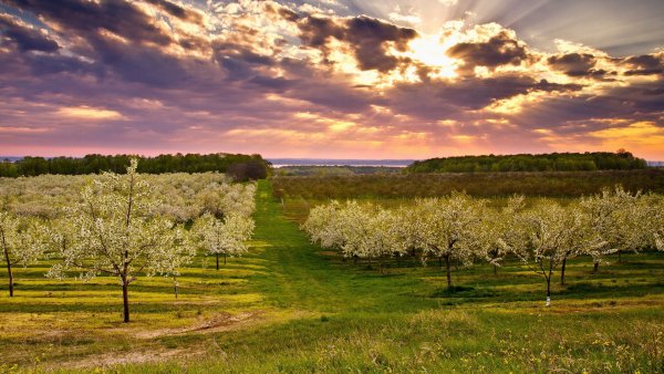Река (ранняя Весна) Исаак