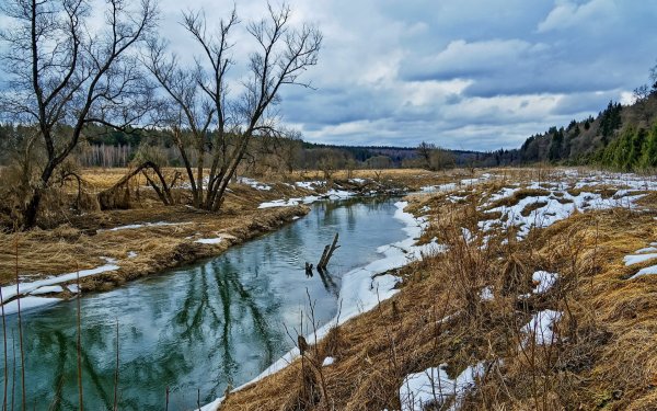 Поздняя Весна