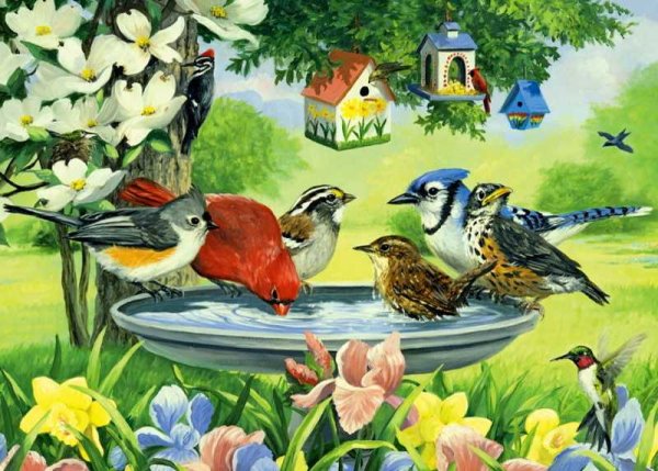 Куприн скворцы иллюстрации для детей