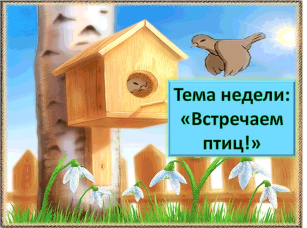 Жизнь птиц весной