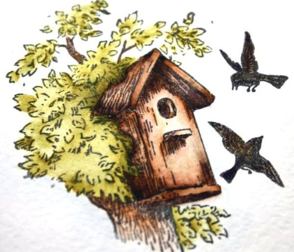 Первые птицы весны для детей