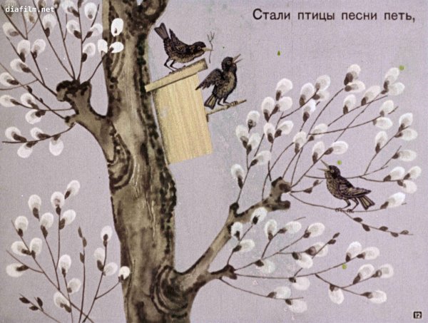 Весна прилет птиц