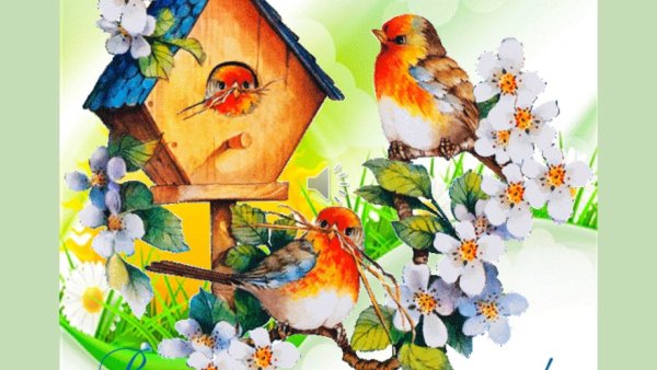 Прилетные птицы весной