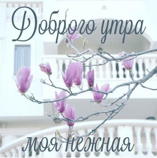 Красивая надпись доброе утро