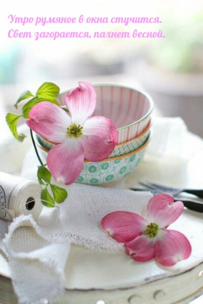 Нежность цветов