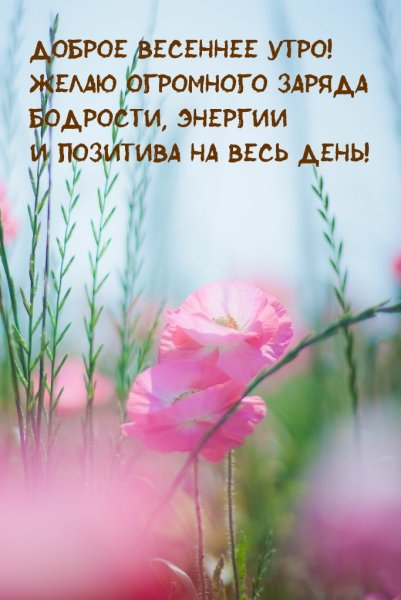 Чудесного утреца