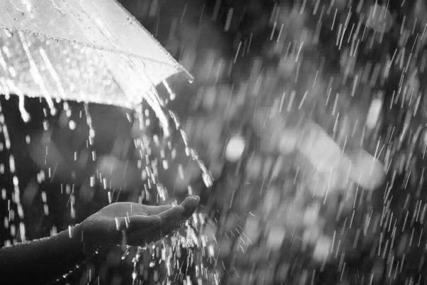 Весенний дождь