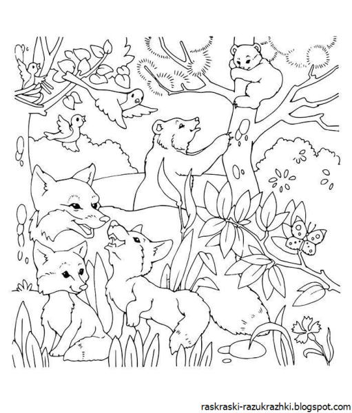 Раскраски милых животных для детей 3 лет распечатать бесплатно