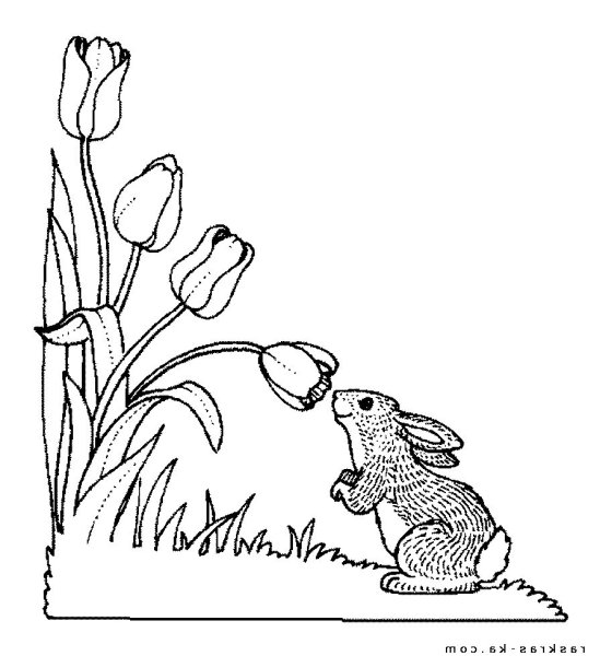 Раскраска. Весна