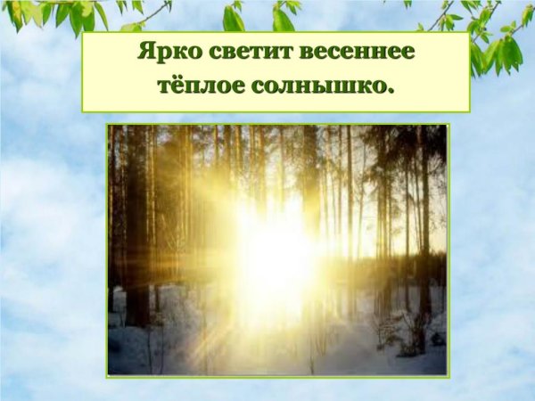 Весеннее солнце
